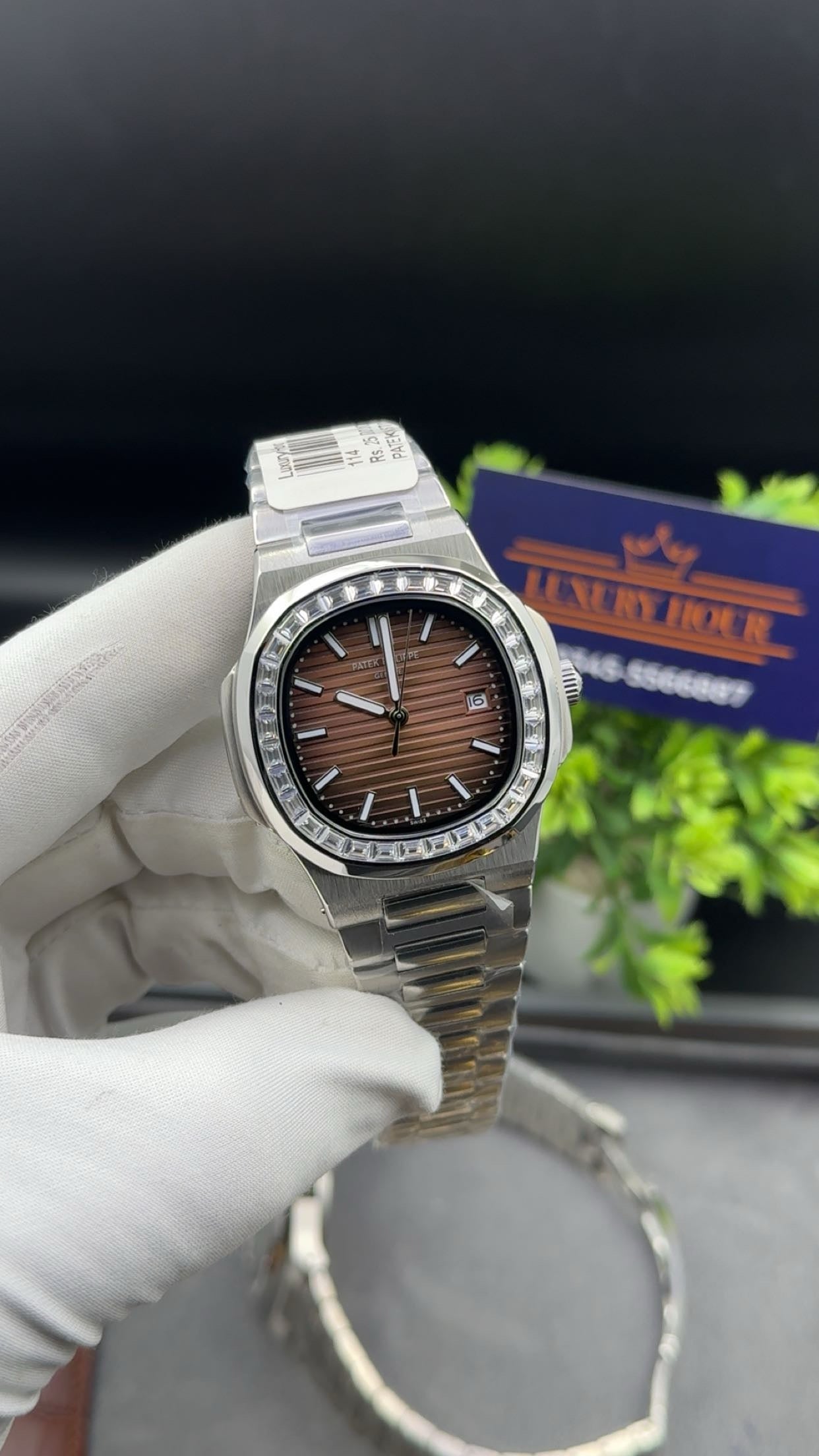 Silver with brown dial(zarcon bezel)
