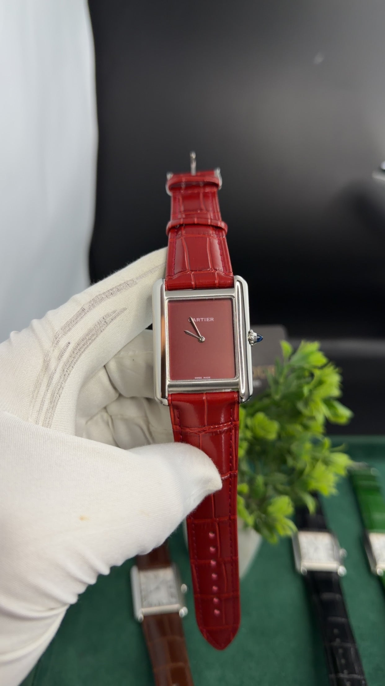 Silver with Red Dial (M NO:183)