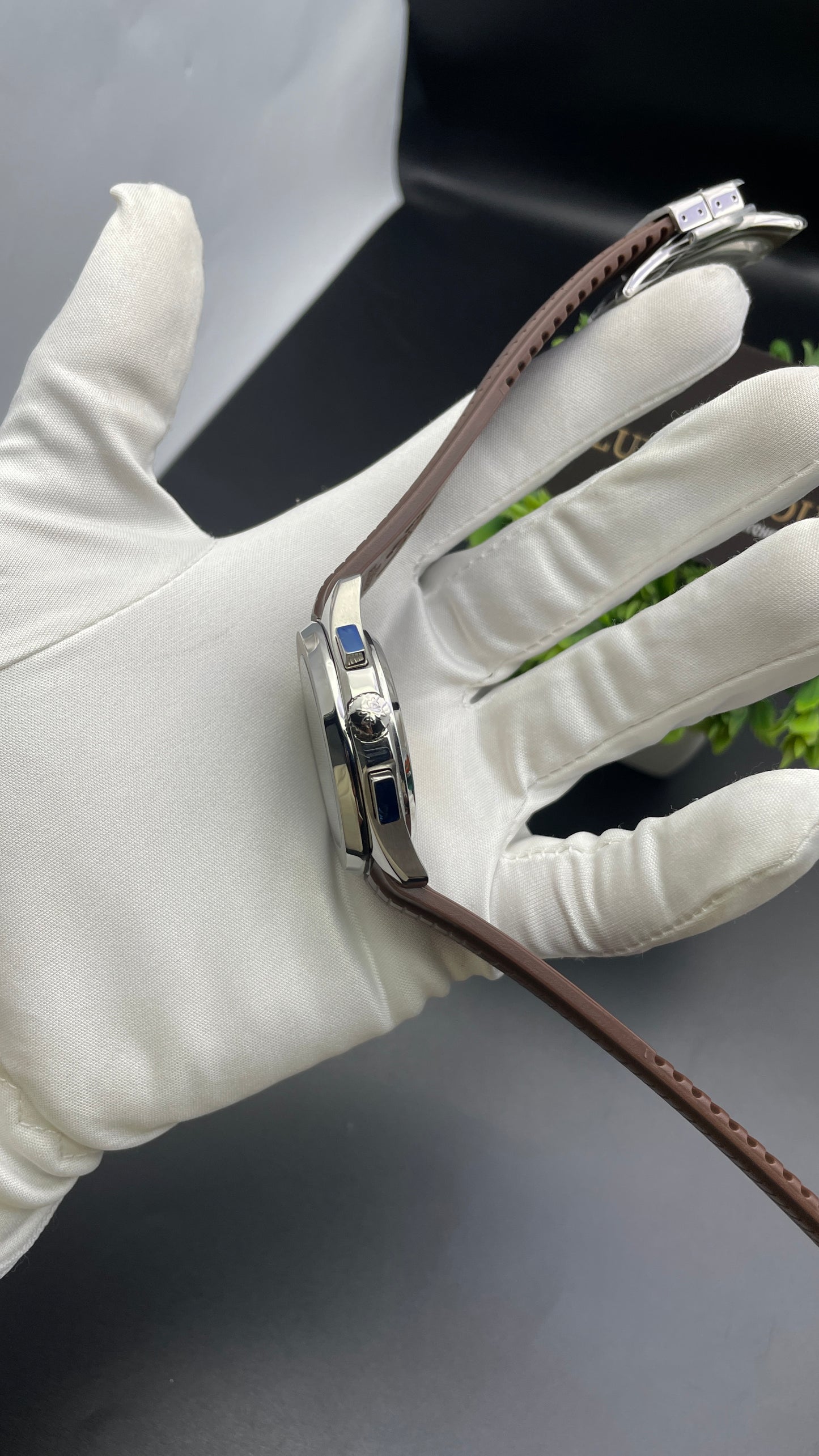 Silver with Chocolate Dial