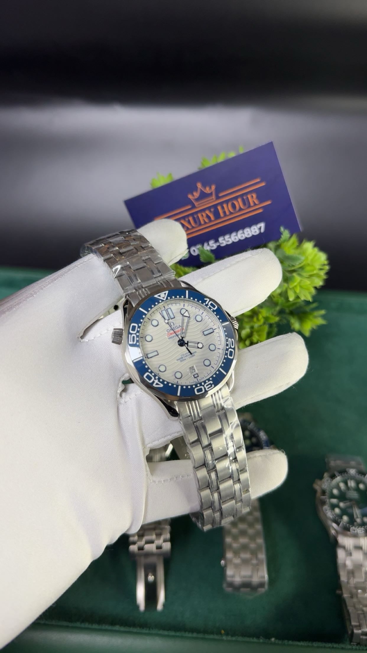 Silver with white dial blue bezel