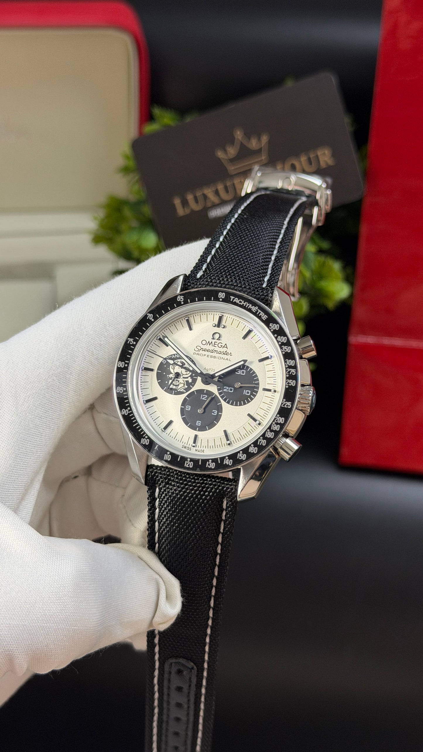 Silver with White Dial.