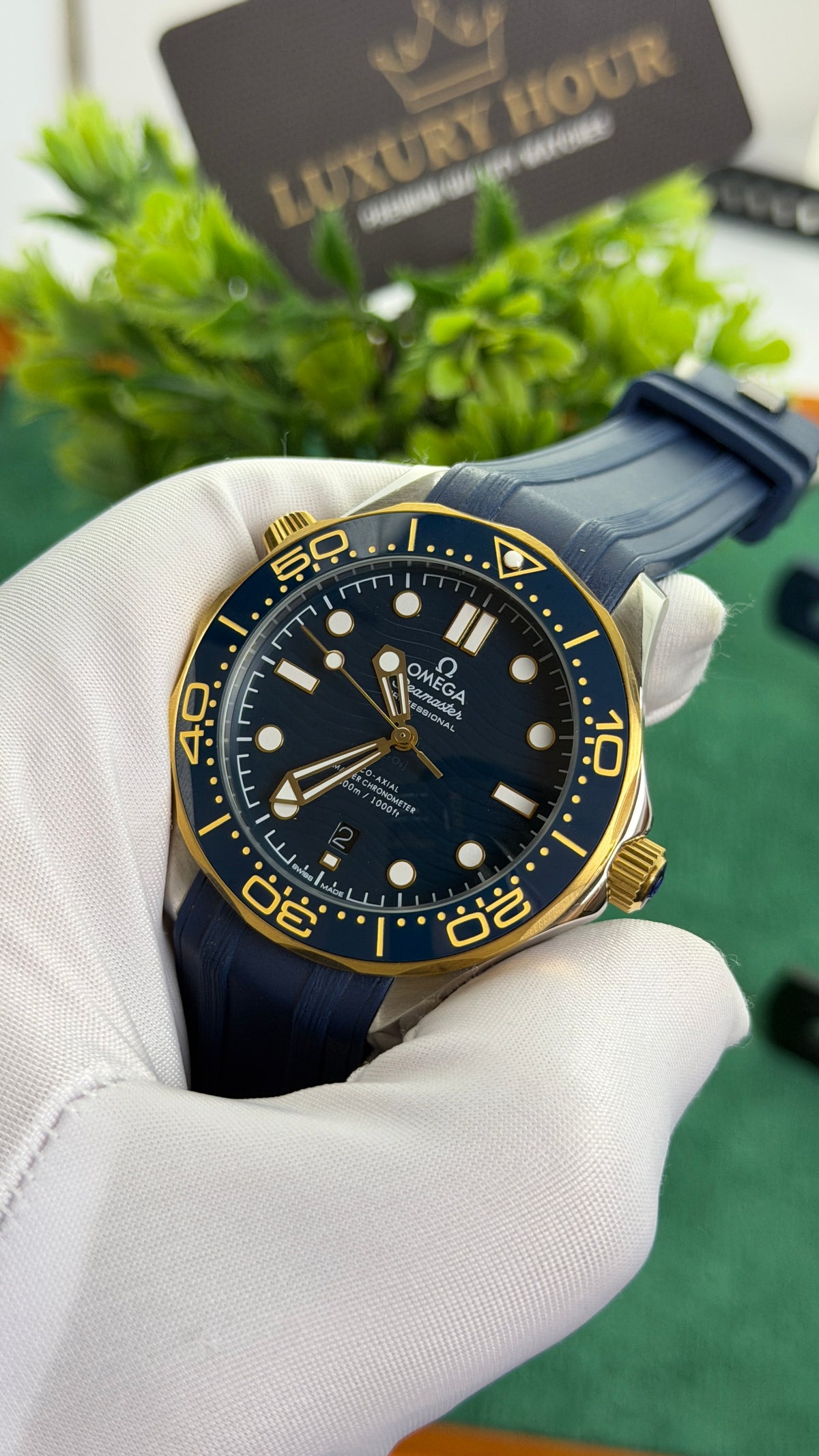 Yellow Gold with Blue Dial.