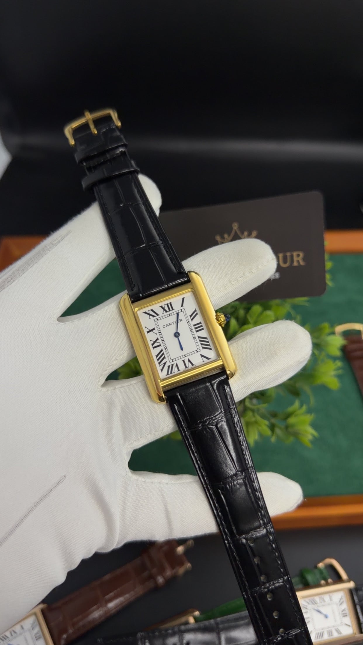 Yellow Gold with White Dial (M No:183)