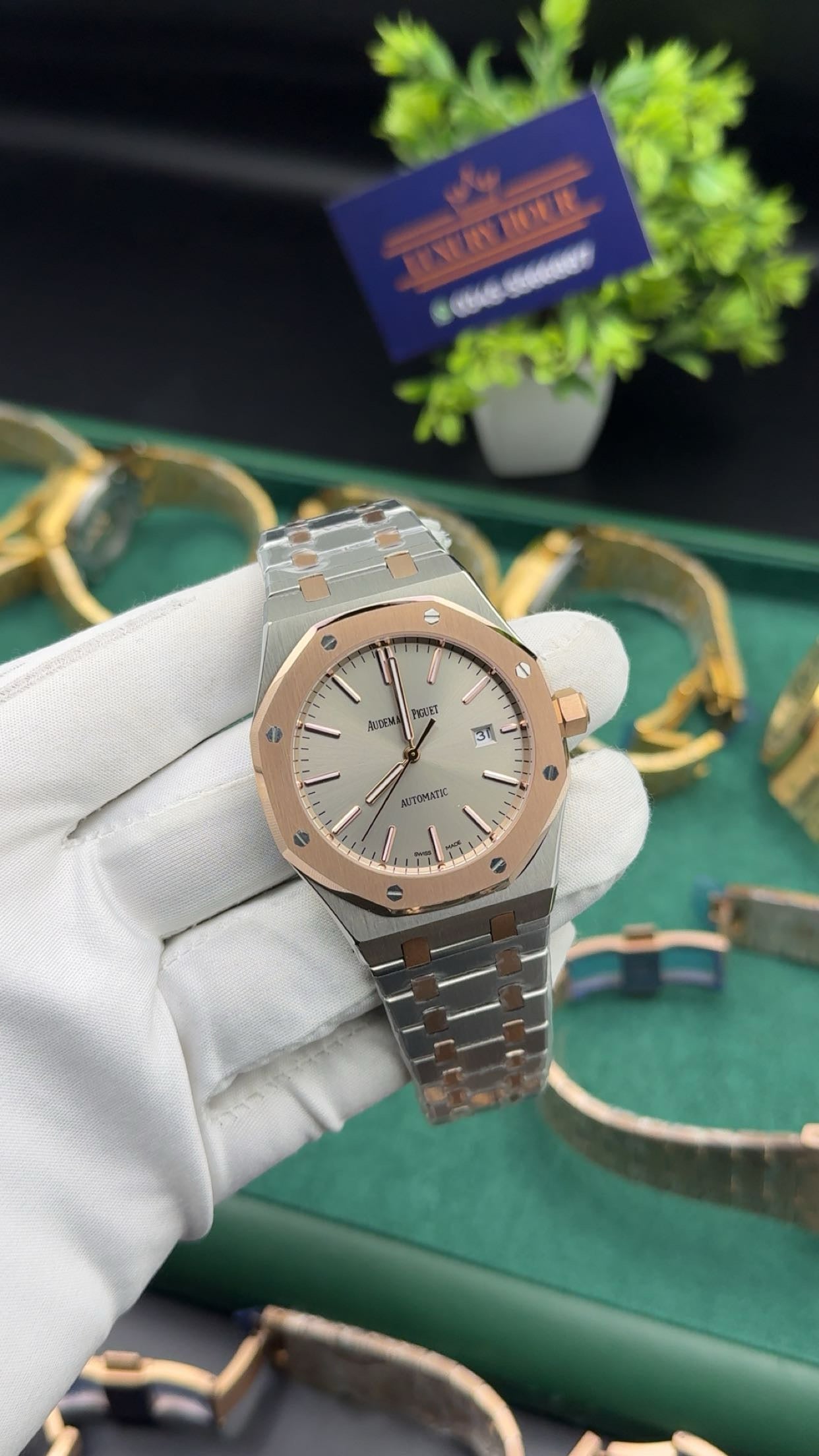 Rose gold two tone with silver dial