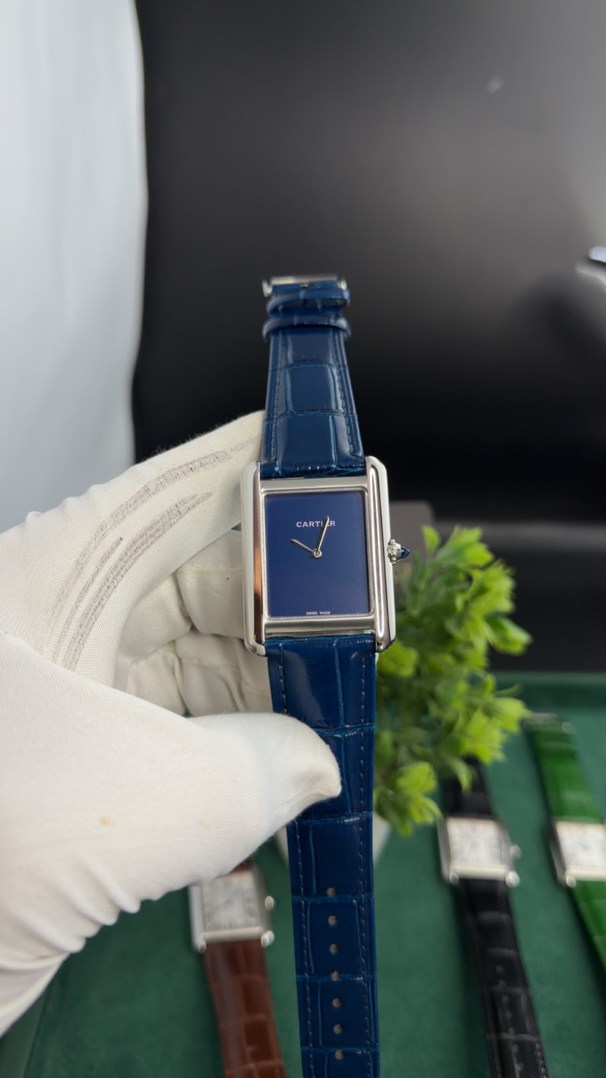 Silver with Blue Dial (M NO:183)