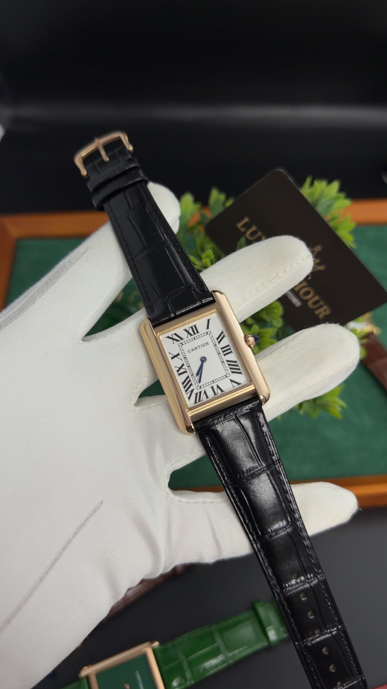 Rose Gold with White Dial (M No:183)