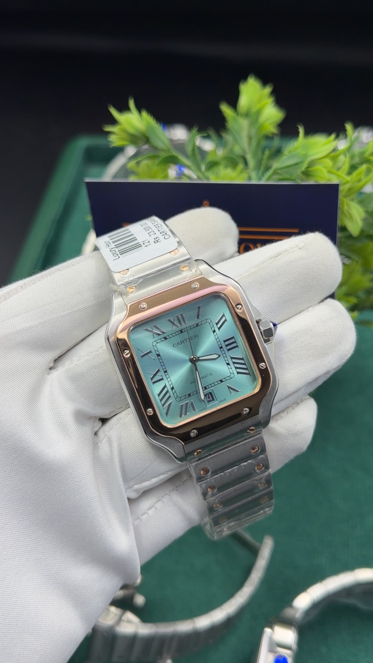 Rose Gold two tone with sky blue dial 🔥