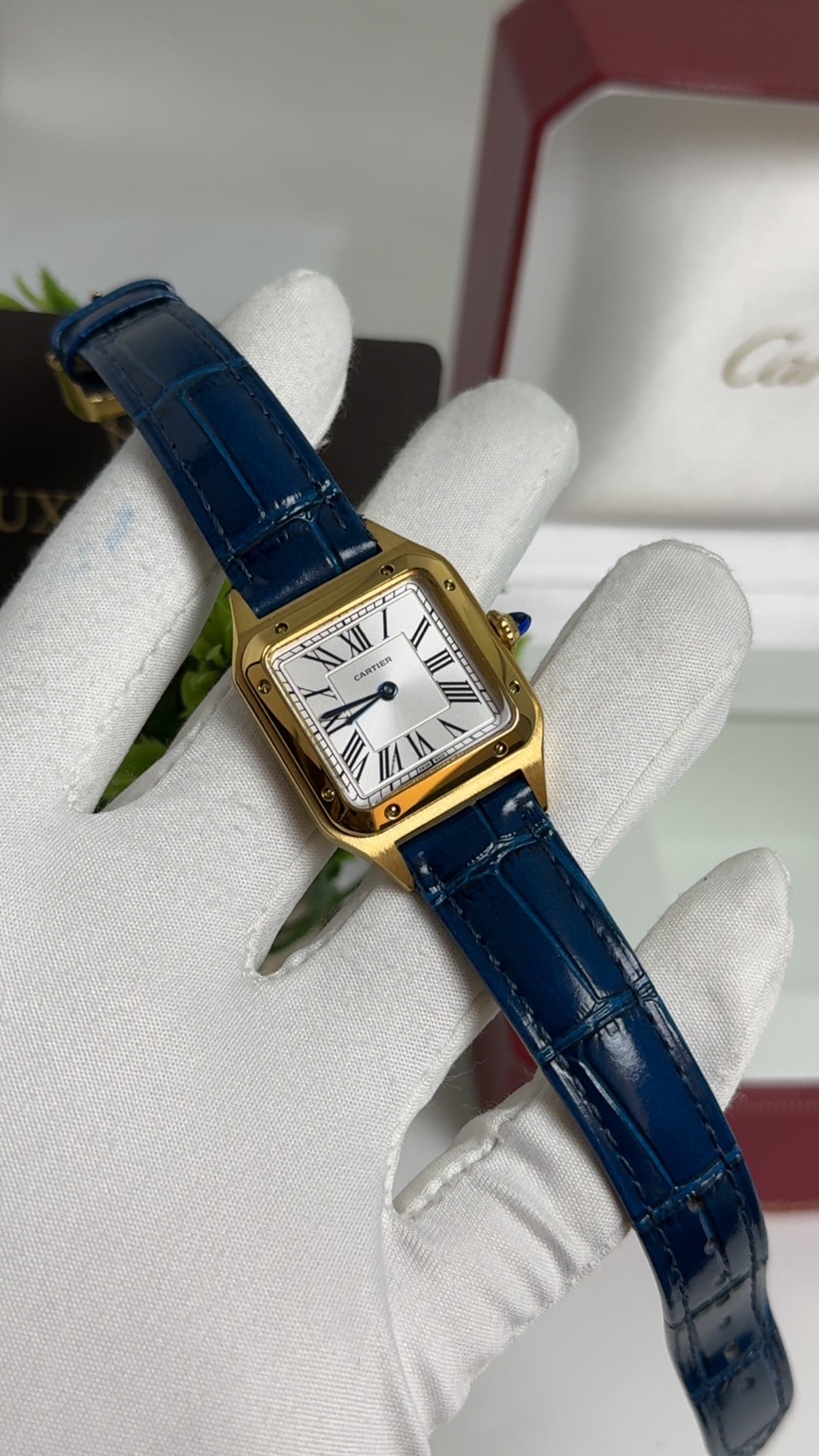 Yellow Gold with Blue Strap.
