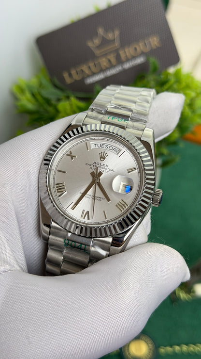 Silver Beauty🩶