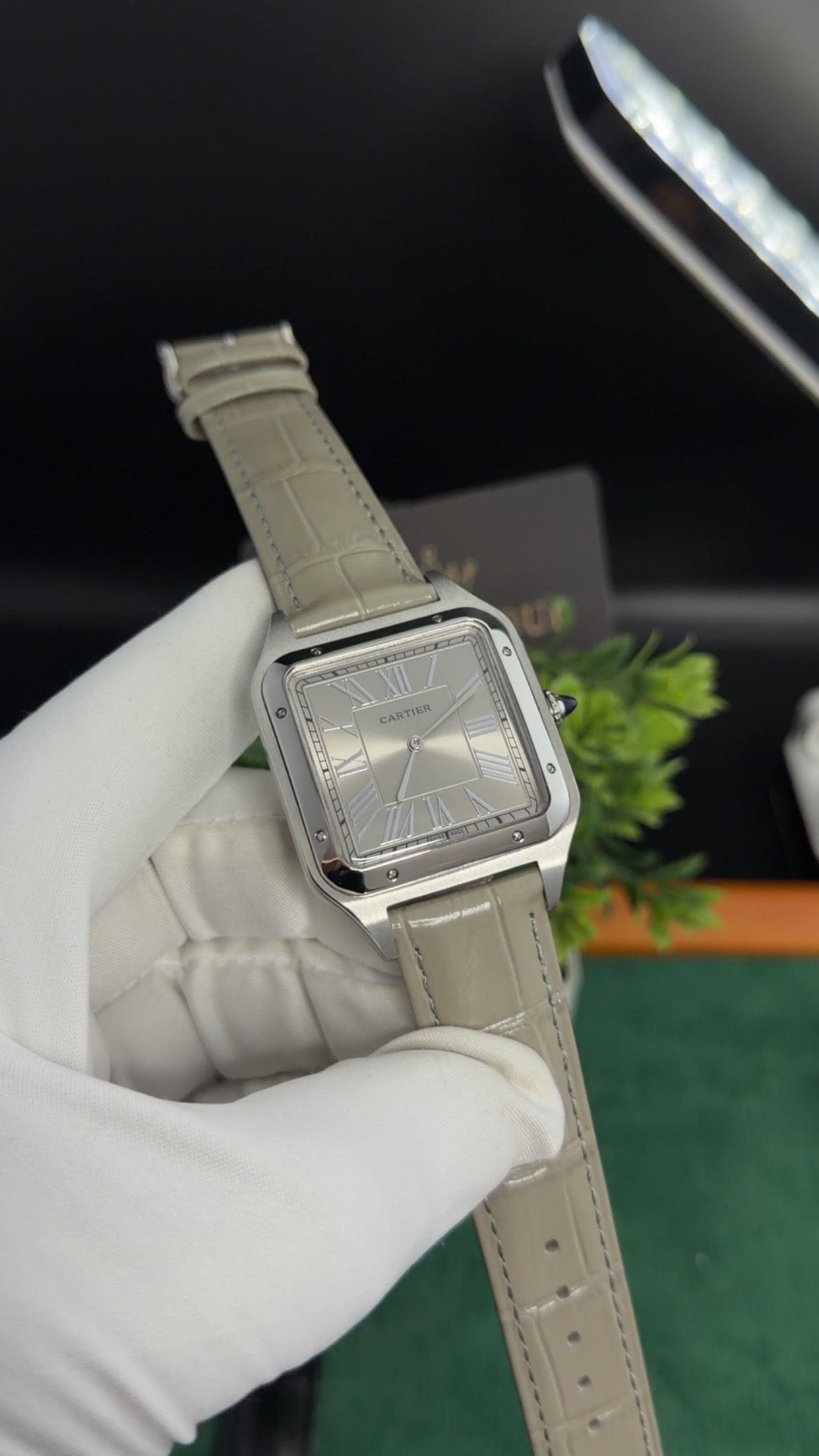 Silver with Light Grey Dial (M No:183)