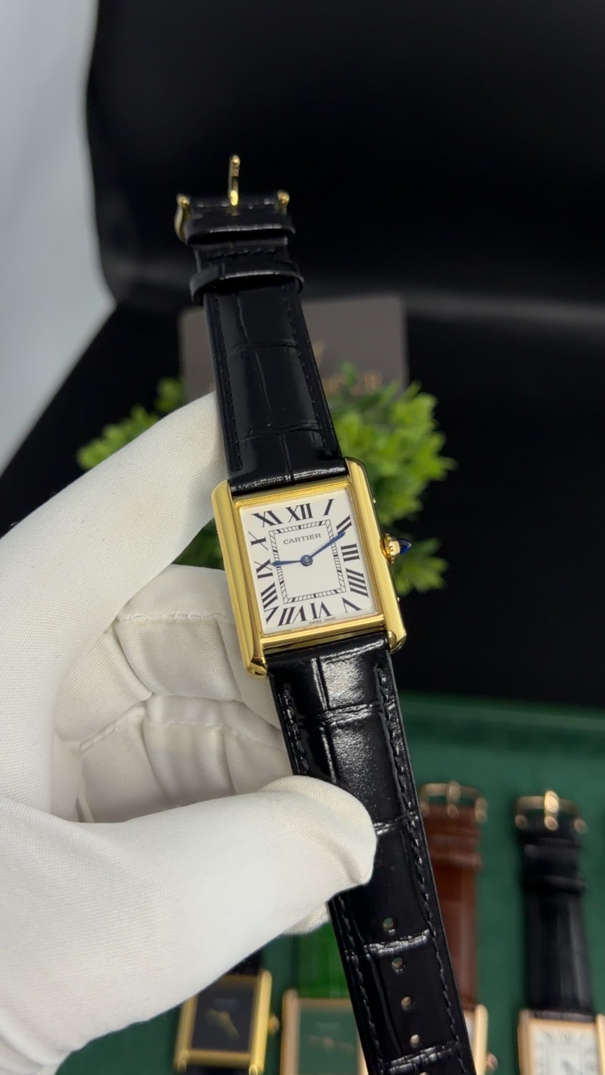 Yellow Gold with White Dial (M No:183)—36mm