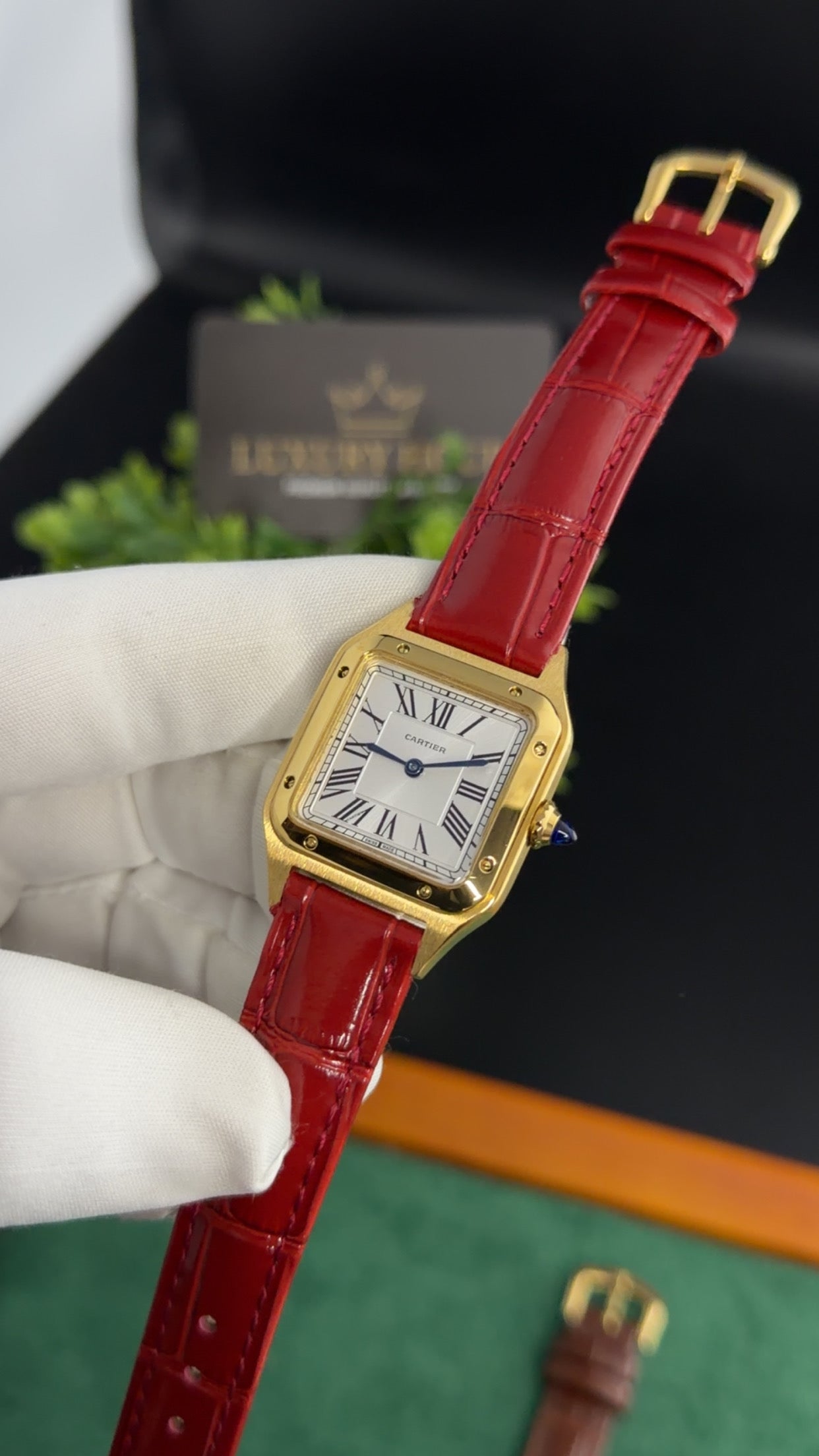 Yellow Gold with Red Strap (M No:183)