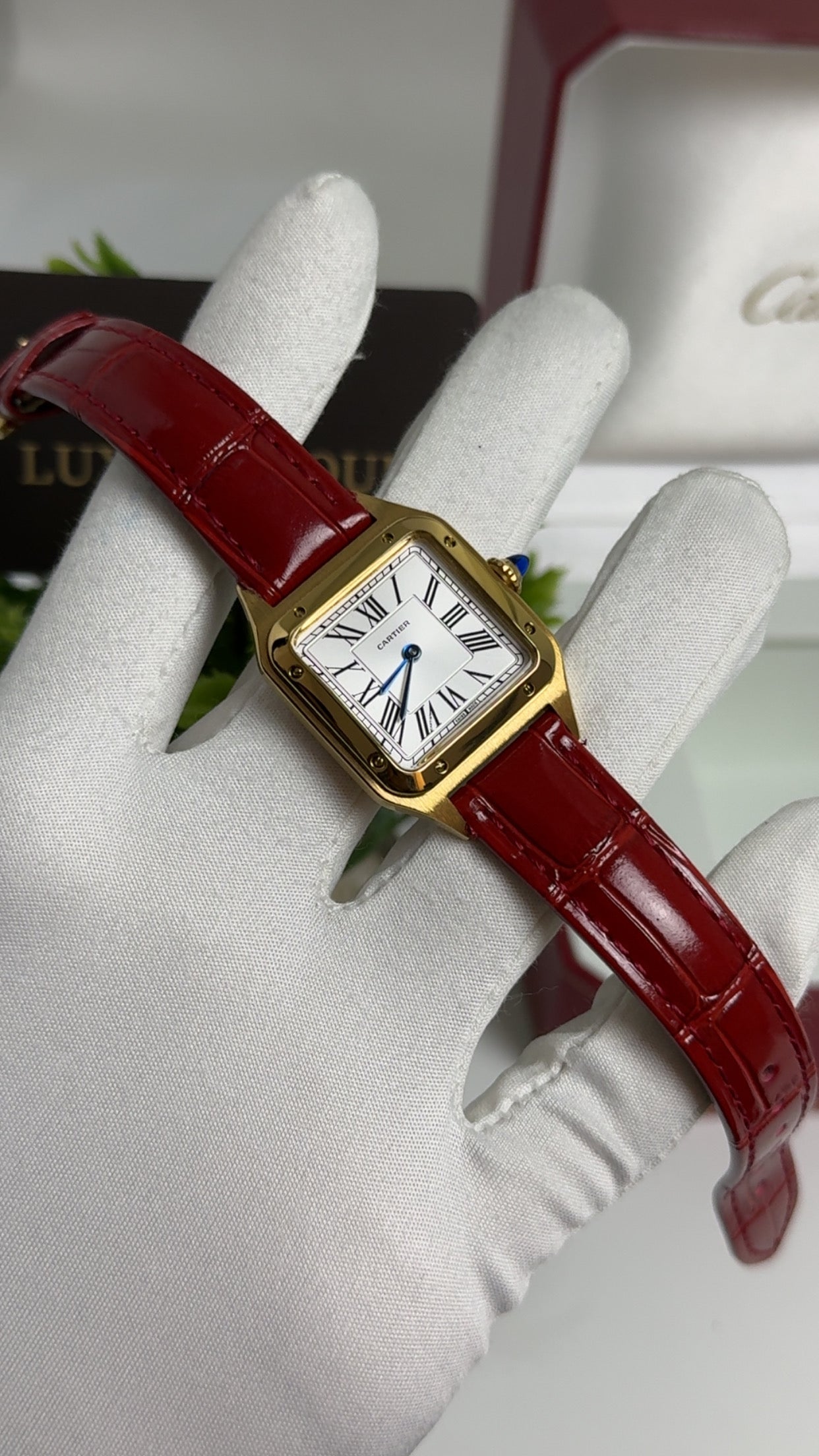 Yellow Gold with Red Strap.