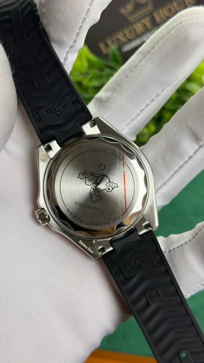 Silver with Black Dial.