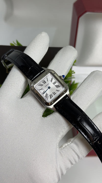 Silver with Black Strap.