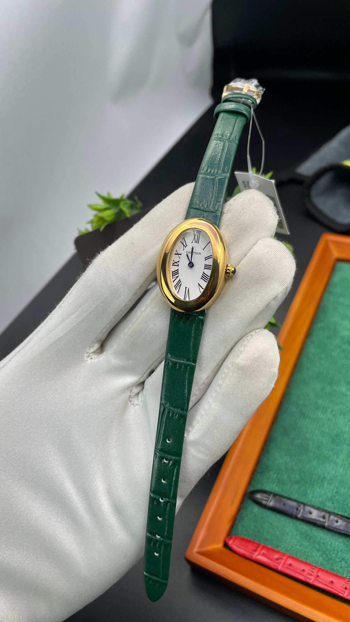 Yellow Gold with Green Strap🔥