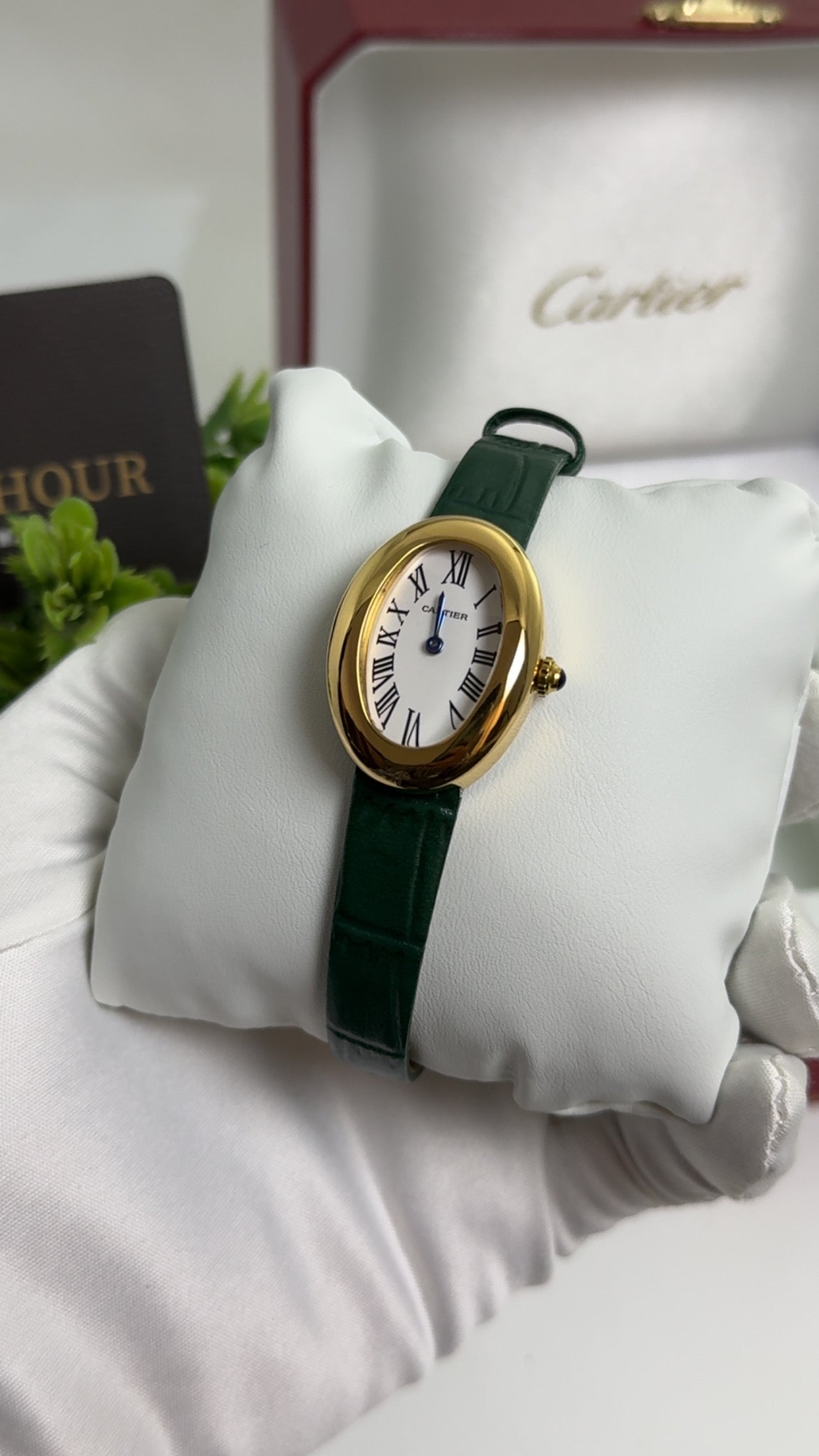Yellow Gold with Green Strap.