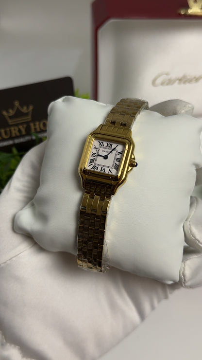 Yellow Gold with White Dial.