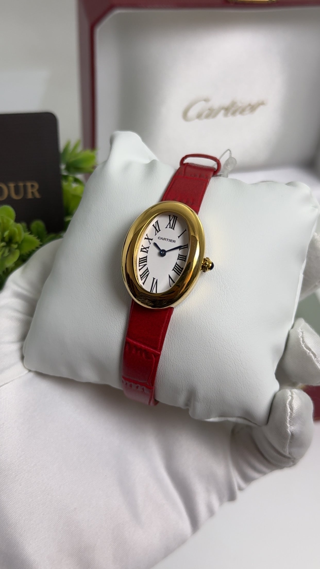 Yellow Gold with Red Strap.