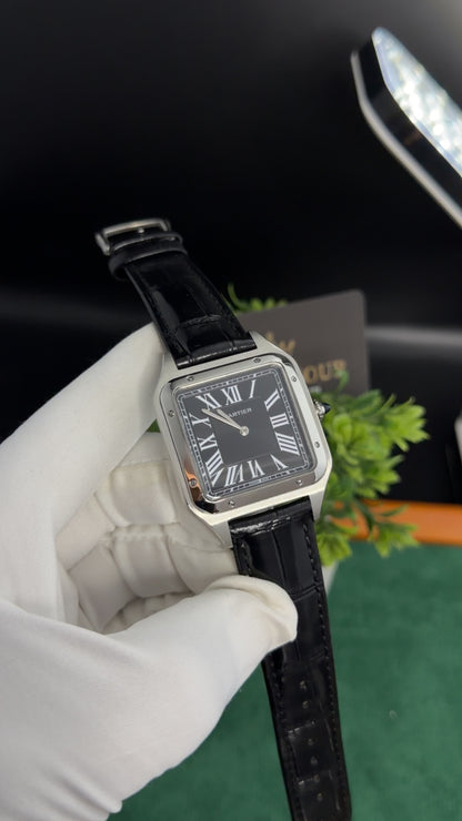 Silver with Black Dial (M No:183)