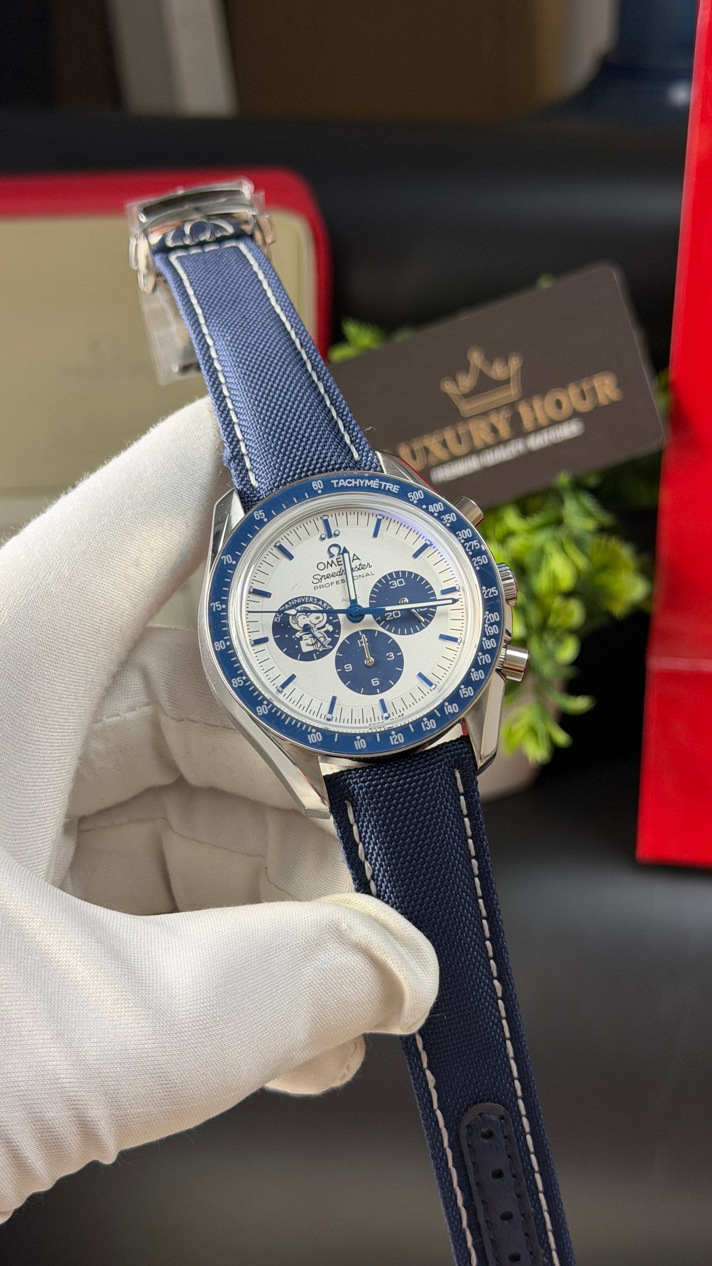 Silver with White Dial.