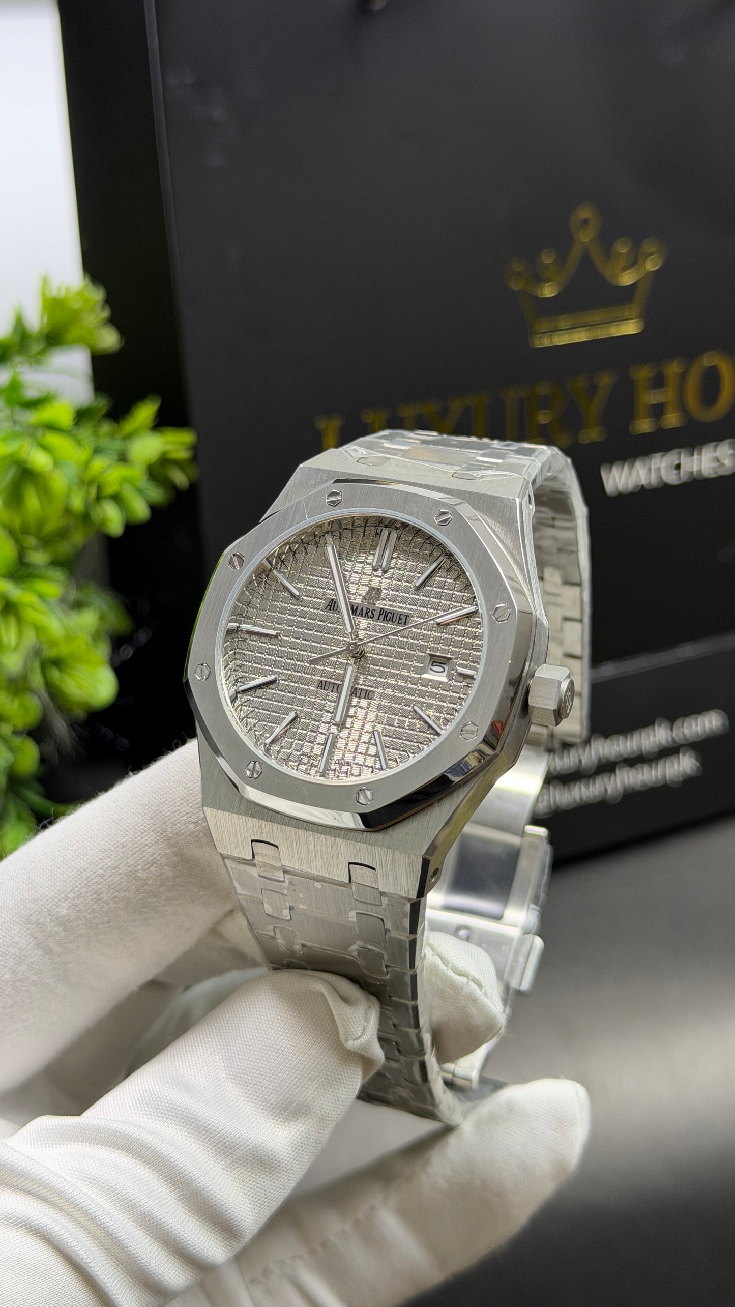 Silver Beauty🩶