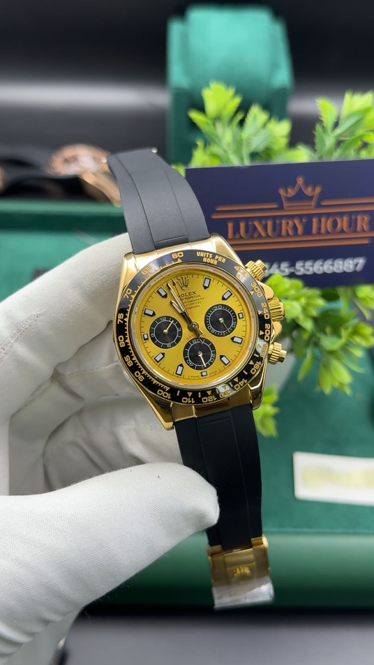 Yellow gold with gold dial